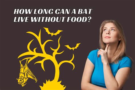 how long can a bat live without food? what is the impact of different diets on their survival